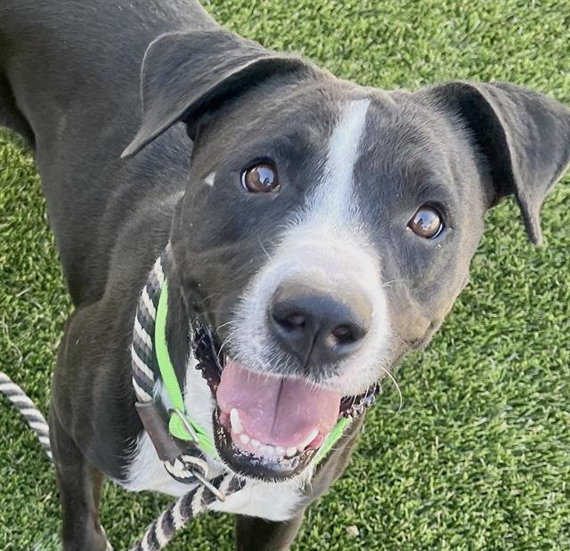 BABA — thumbnail 2