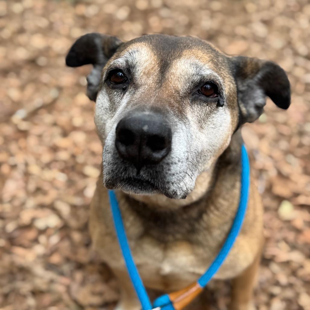 Sarah Ribbons (I have a Secret Crush!) — thumbnail 6