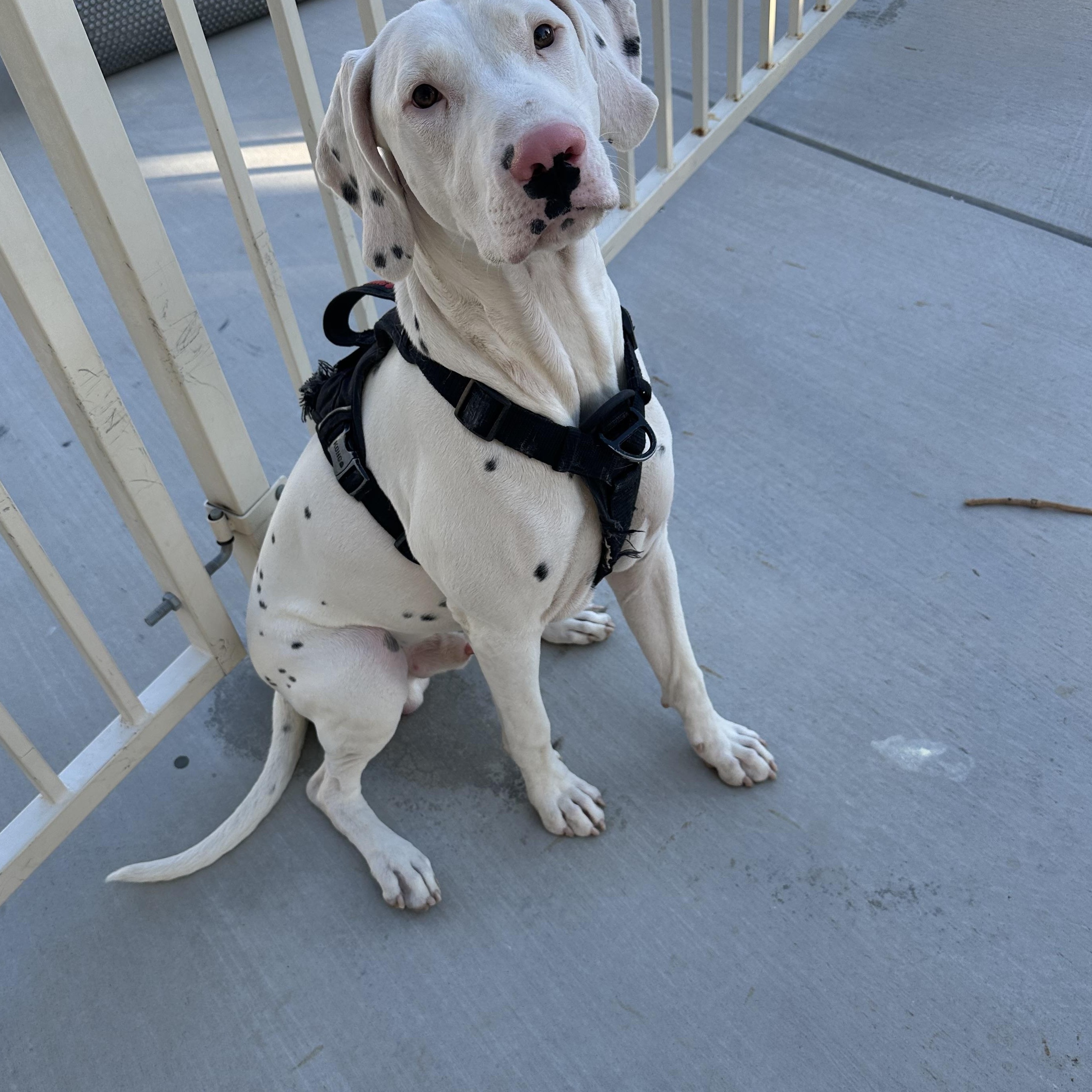 Arson-Apple Valley, CA 3