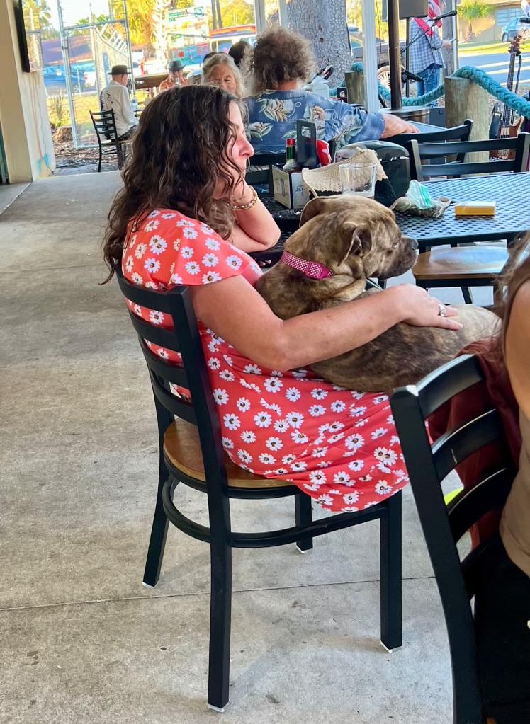 Enlarge Esther , a ADOPTABLE mixed breed in tampa, FL image 2/3