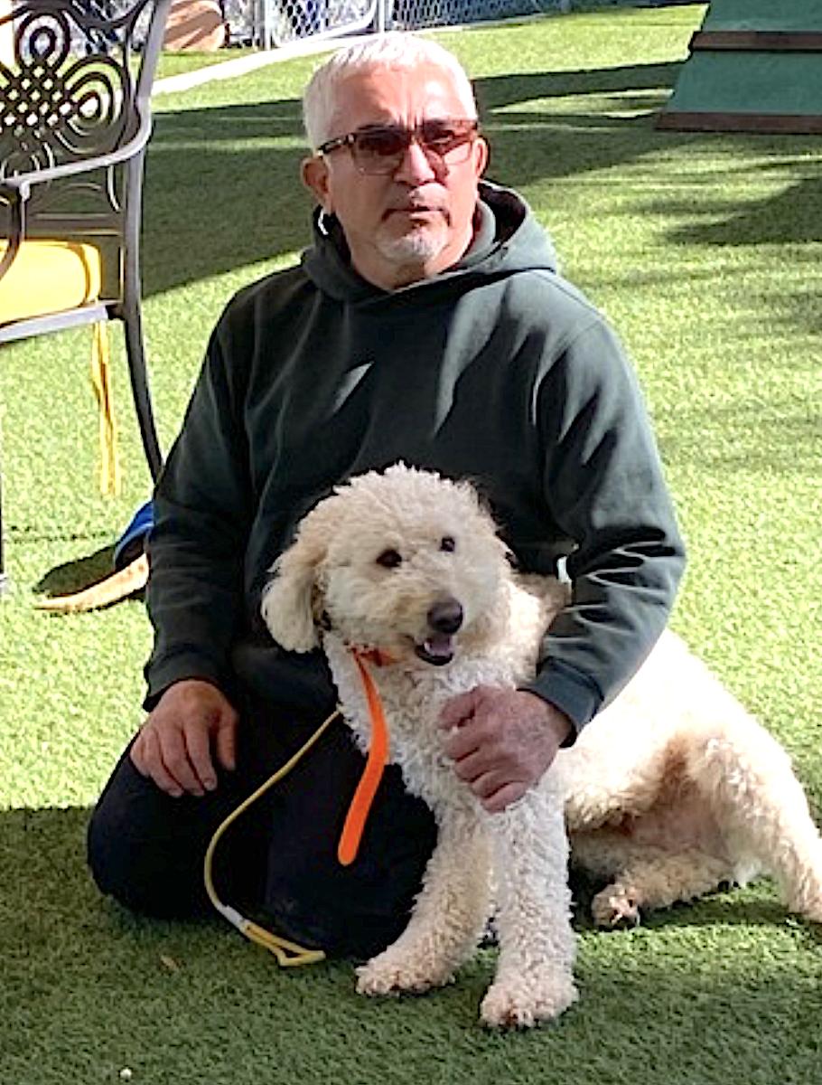 Teddy — thumbnail 4