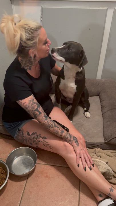 Enlarge Honey, an adopted mixed breed in Torrance, CA video 5/5