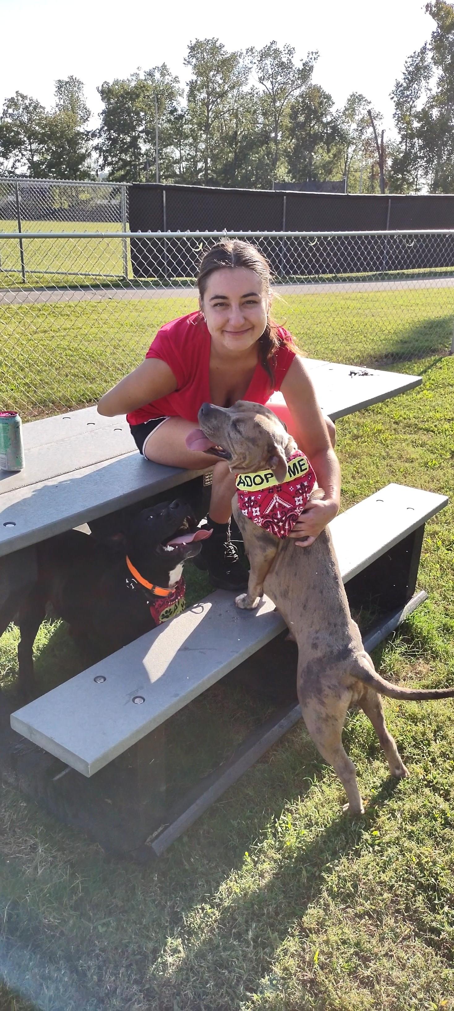 Monica, a Adopted mixed breed in Clay City, KY image 5/6