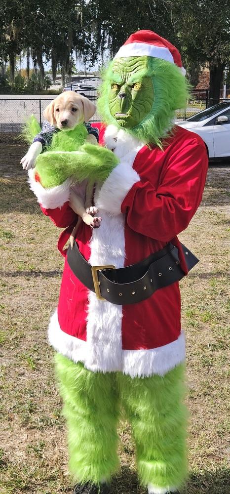 Stank Von Wigglebutt thumbnail 2