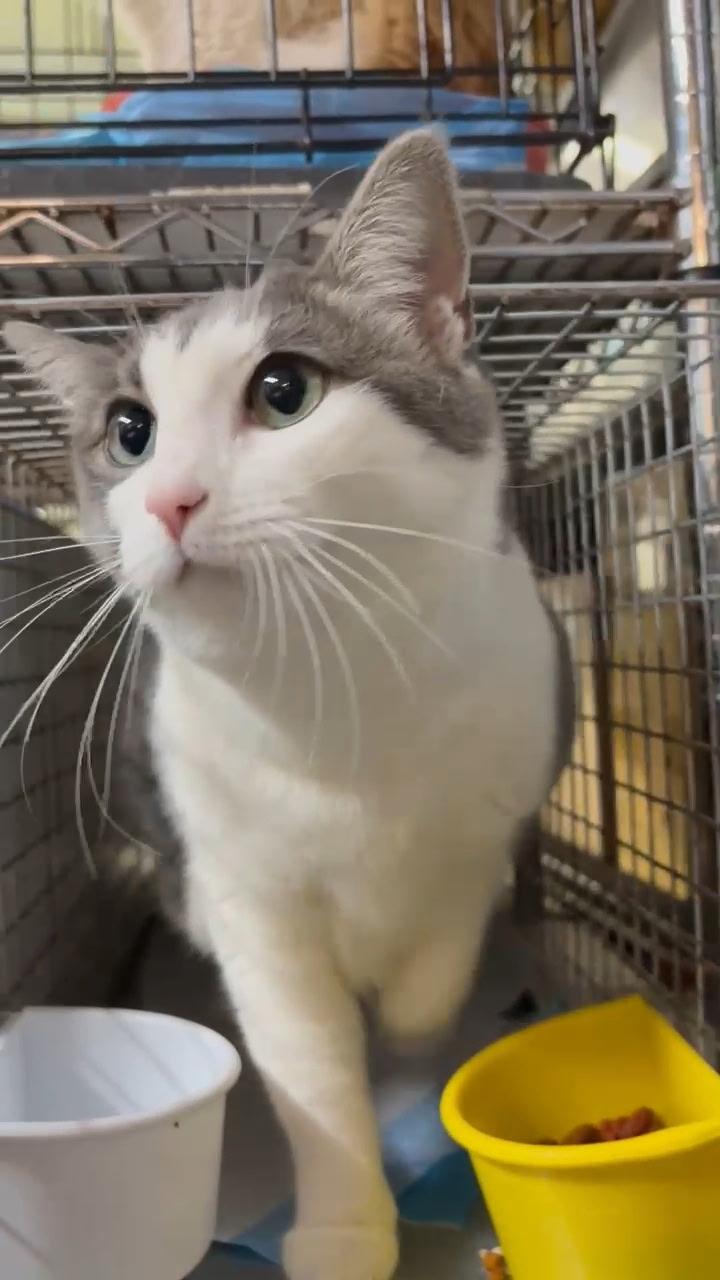 VICKY - BIG GIRL BIGGER HEART