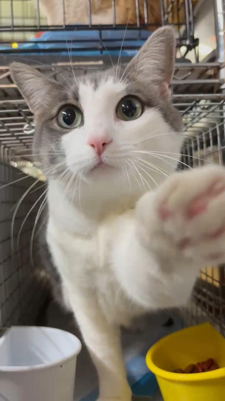 VICKY - BIG GIRL BIGGER HEART