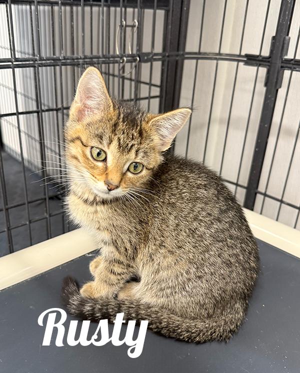 Rusty