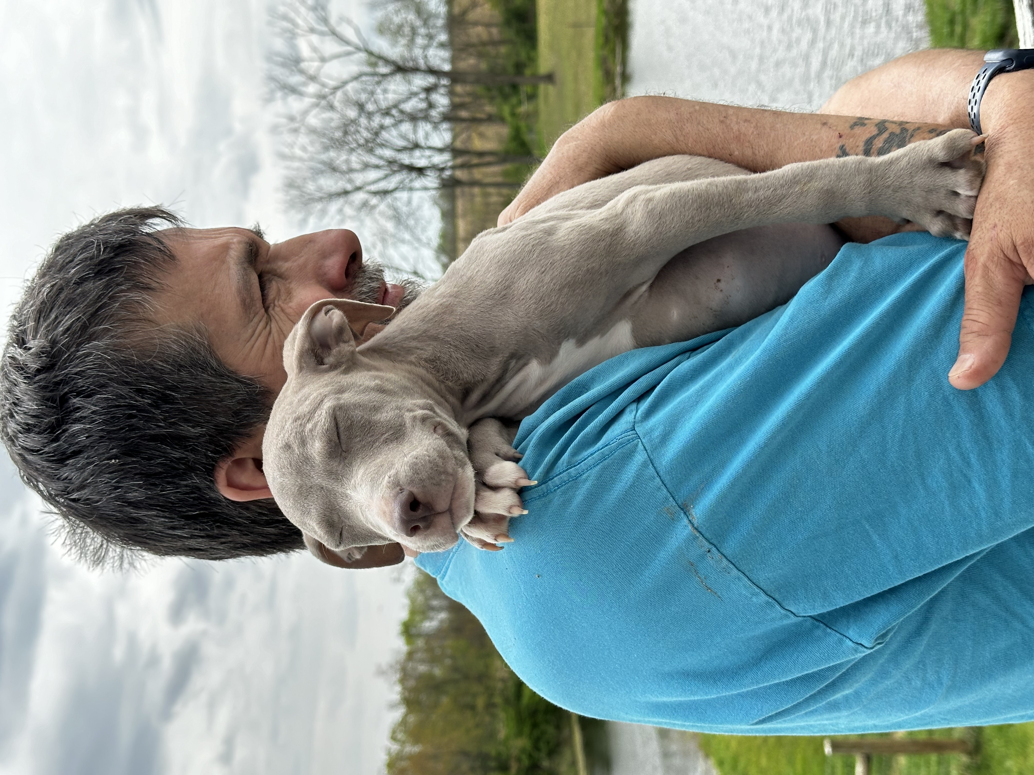 Joey, a Adopted mixed breed in Greenfield, OH image 4/6