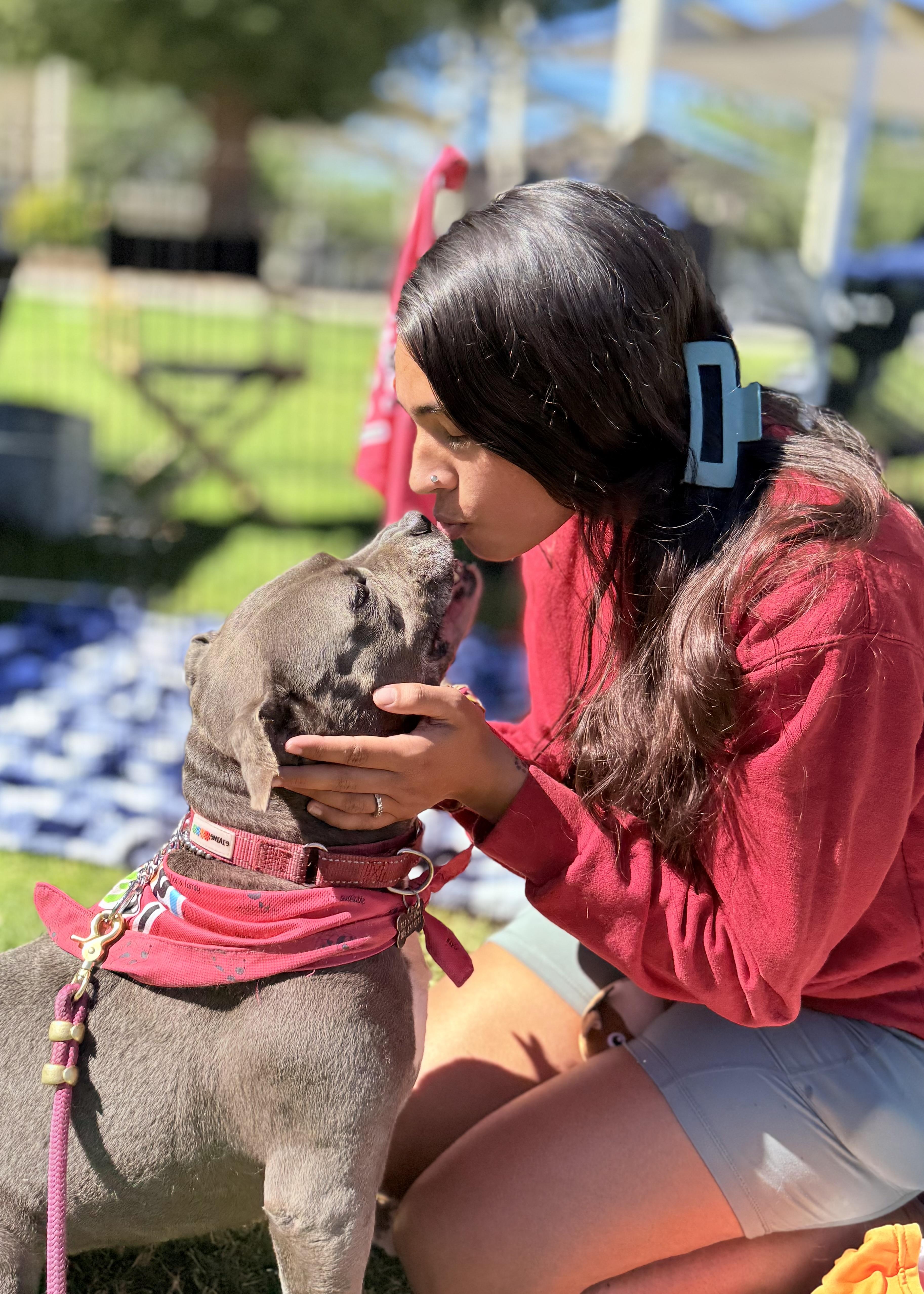 Gracie, an adoptable Pit Bull Terrier in Thousand Oaks, CA image 1/6
