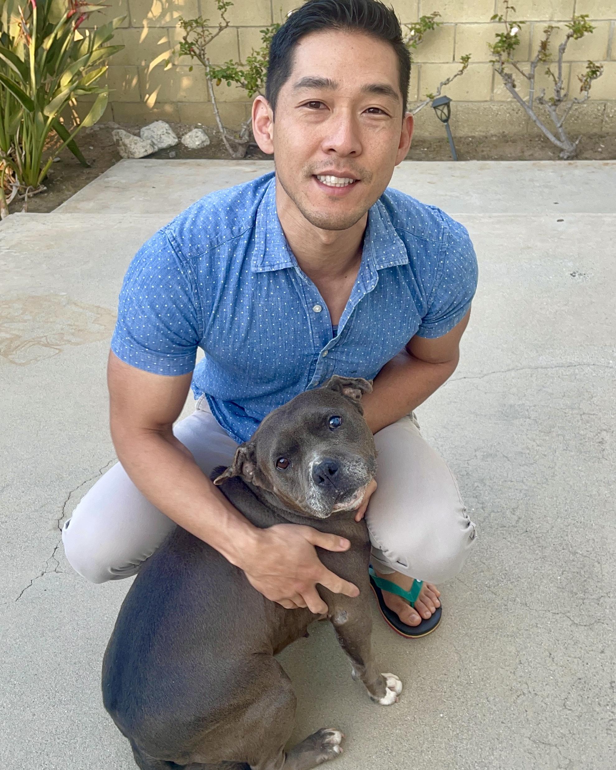 Gracie, a Adoptable Pit Bull Terrier in Thousand Oaks, CA image 5/6