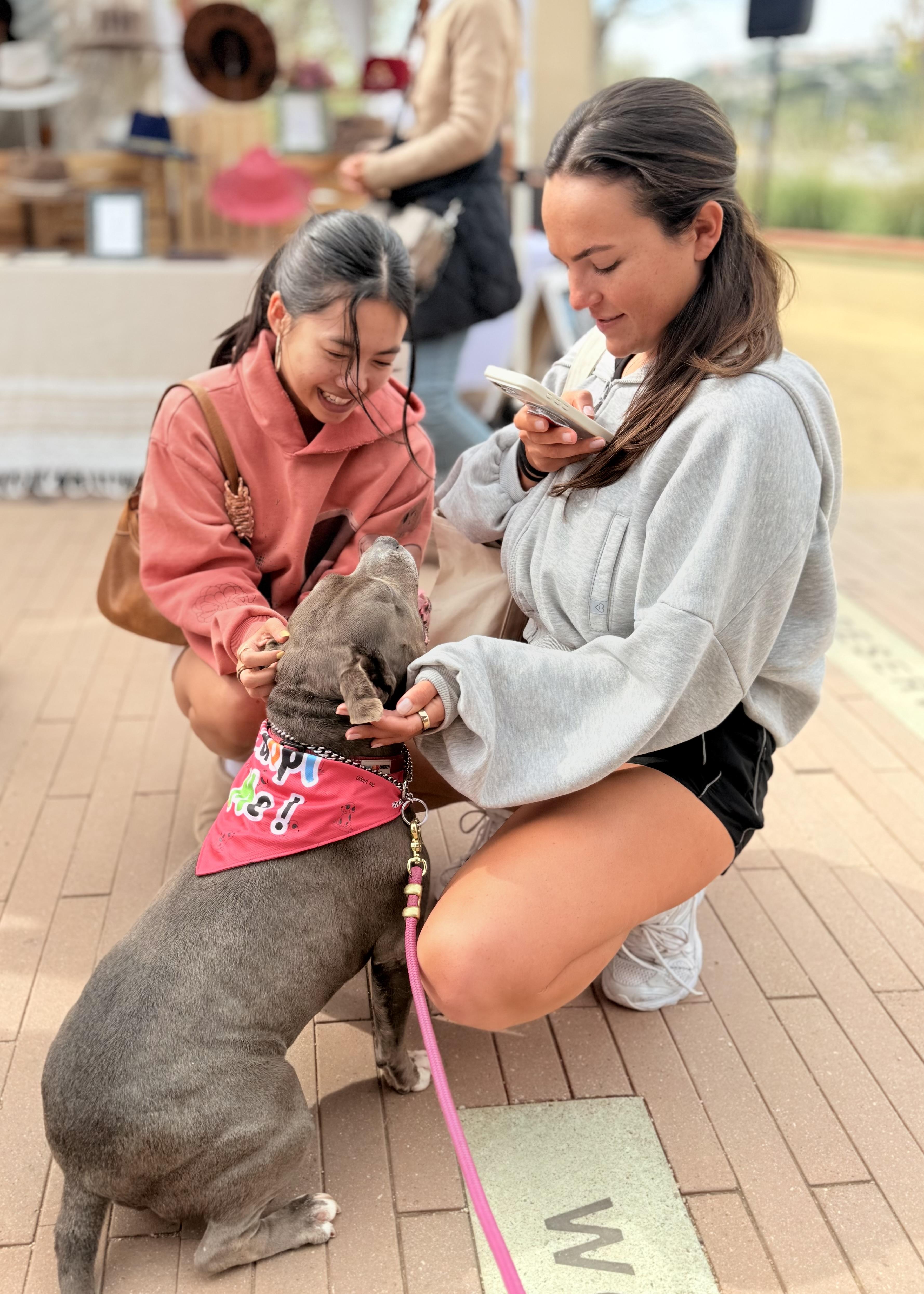 Enlarge Gracie, an adoptable Pit Bull Terrier in Thousand Oaks, CA image 3/6