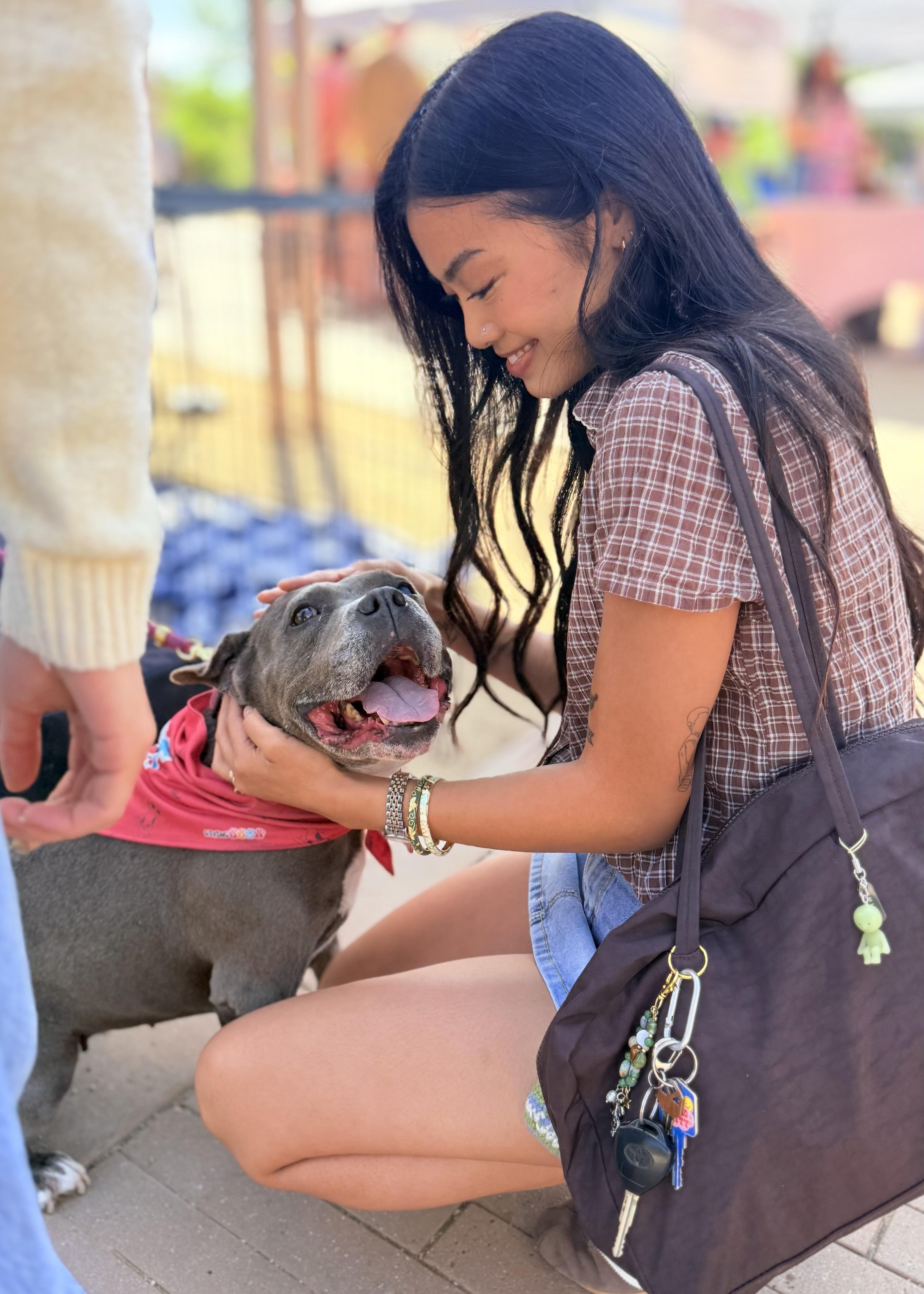 Gracie, an adoptable Pit Bull Terrier in Thousand Oaks, CA image 3/6