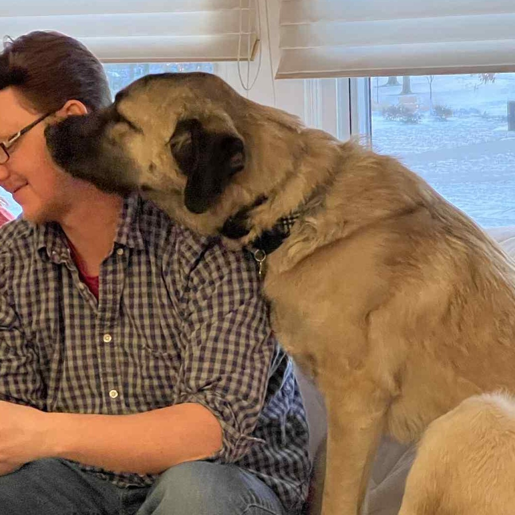 Hudson, a Adoptable mixed breed in Watertown, WI image 4/6