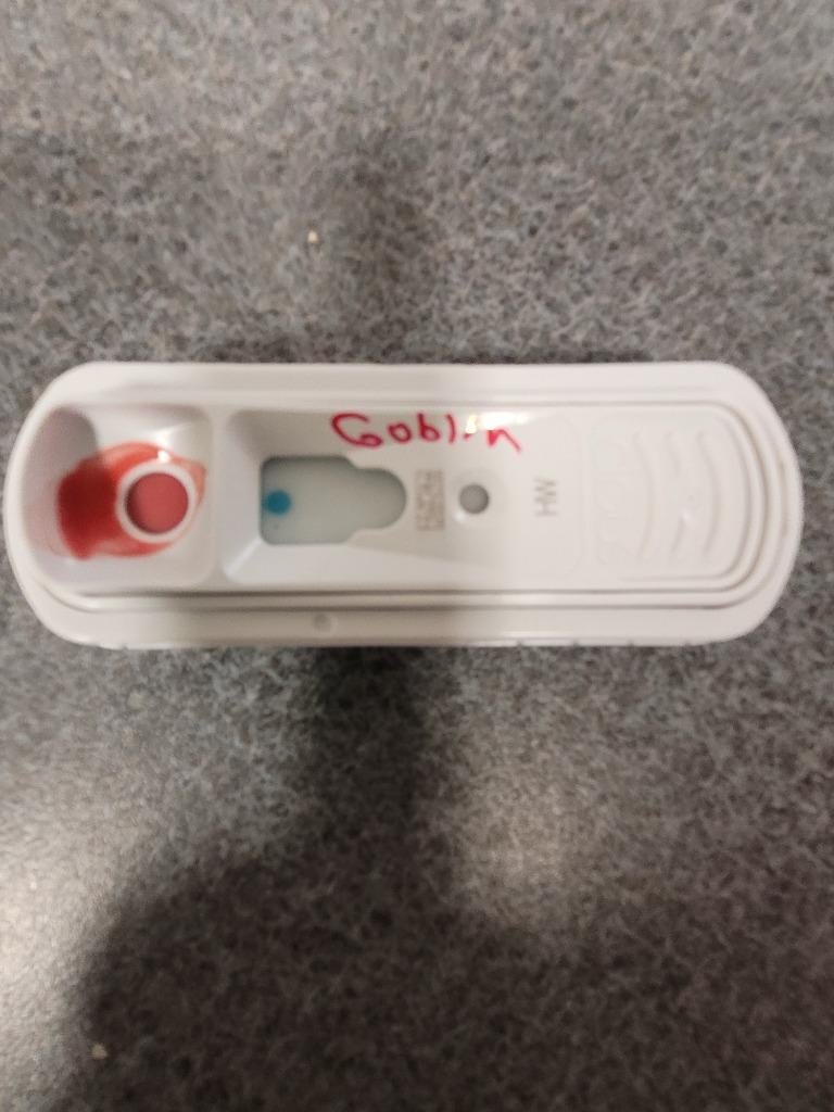 Enlarge Goblin, a Adoptable mixed breed in Hopkinsville, KY image 5/6