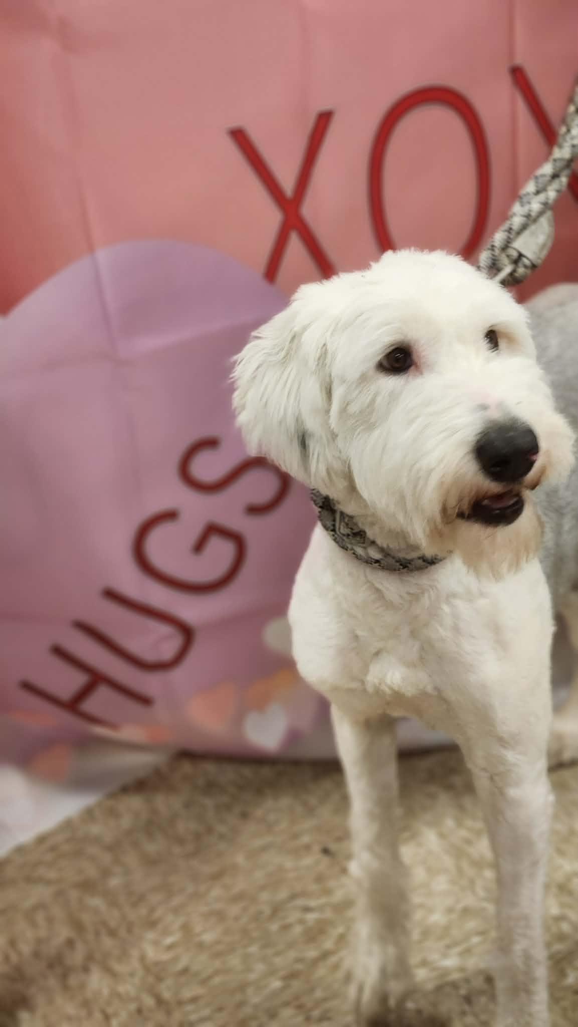 Molly FJ — thumbnail 2