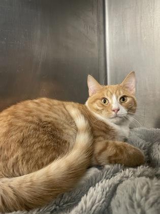 Baker — thumbnail 2