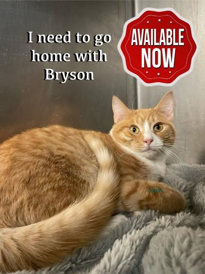 Baker — thumbnail 3