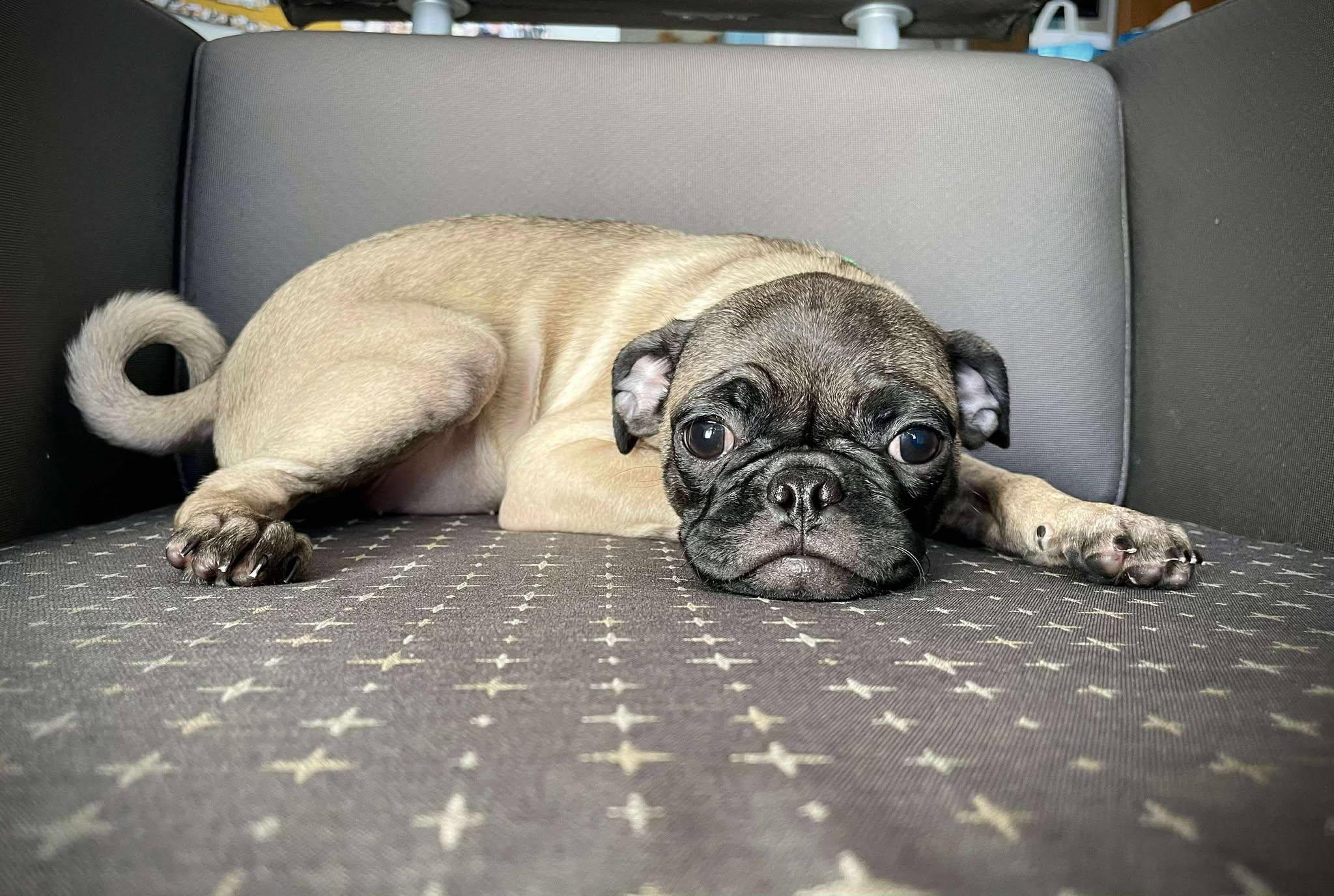Little League Litter - Cubby