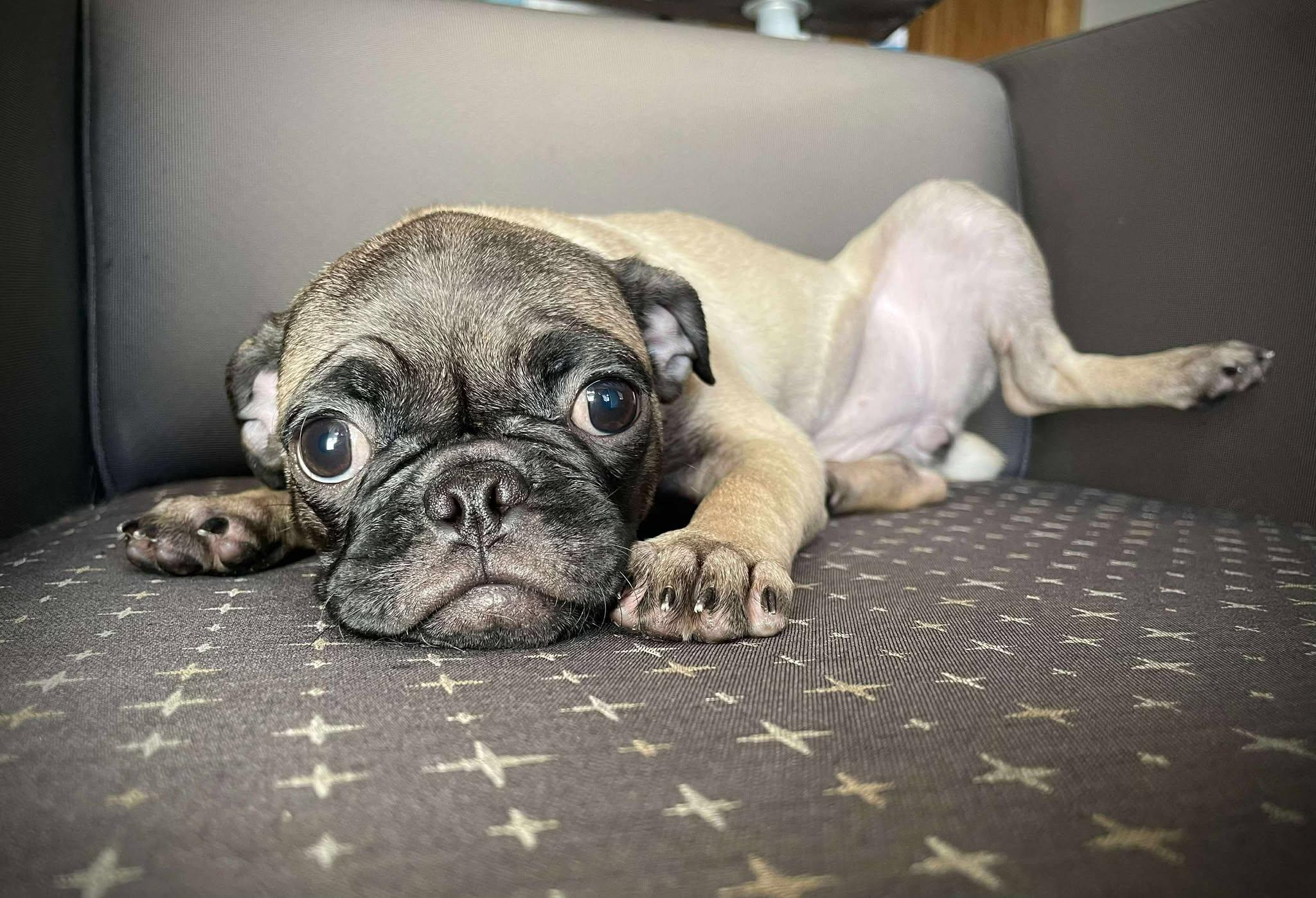 Little League Litter - Cubby