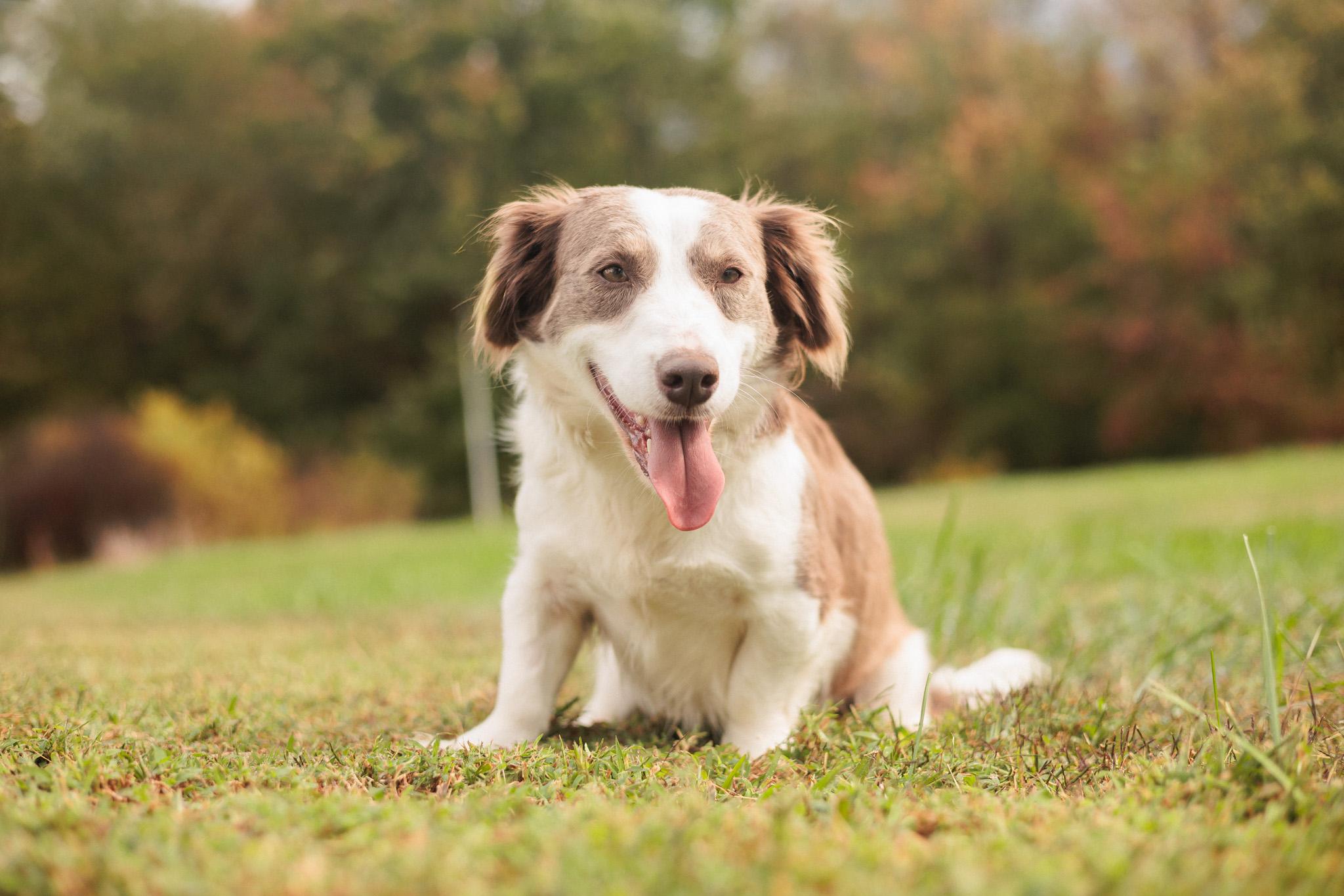 Rosalee Grace - Transport 1