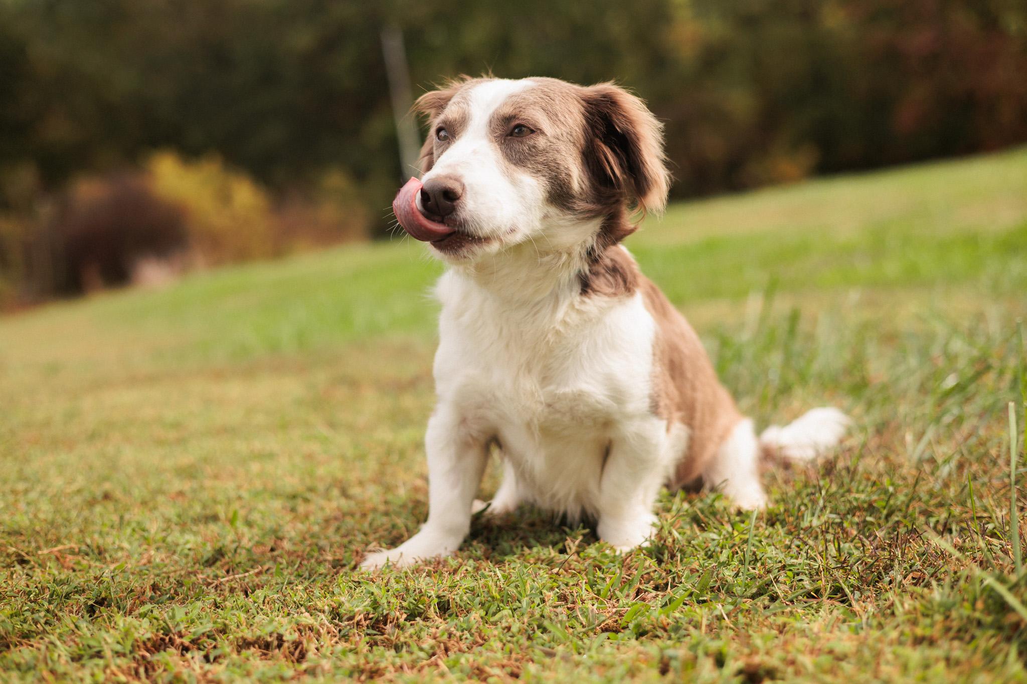 Rosalee Grace - Transport 5