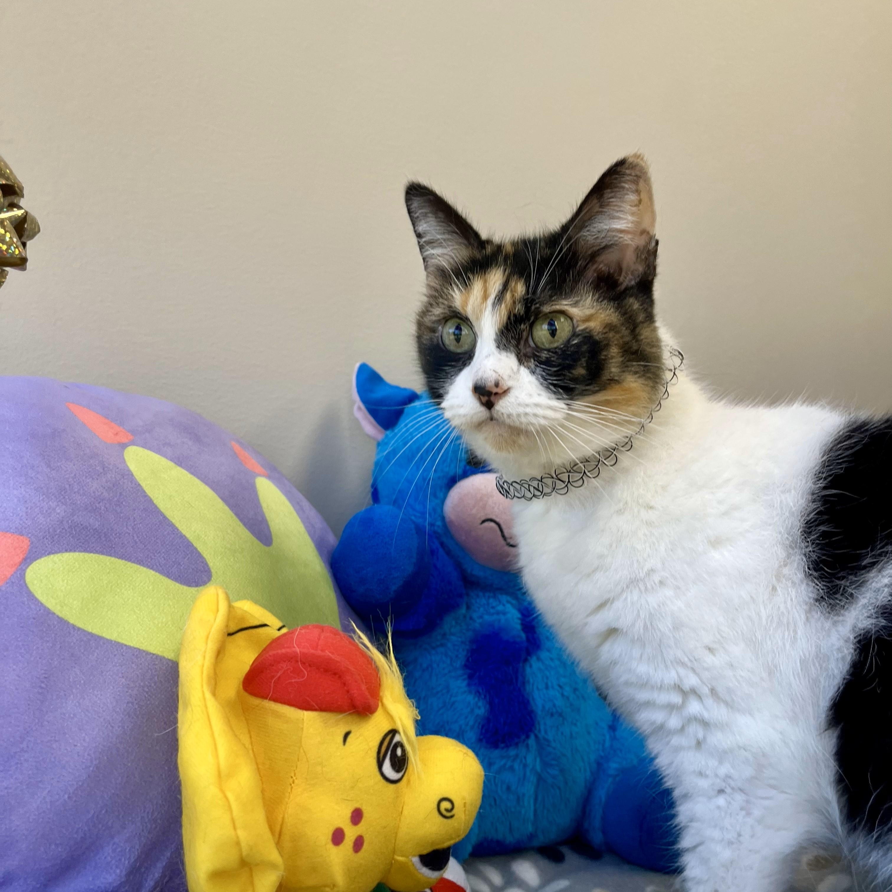 Earthquake — thumbnail 2