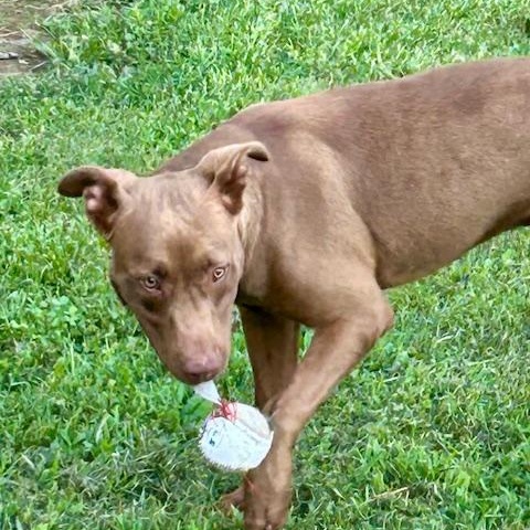 Fudge - new pics! photo 5