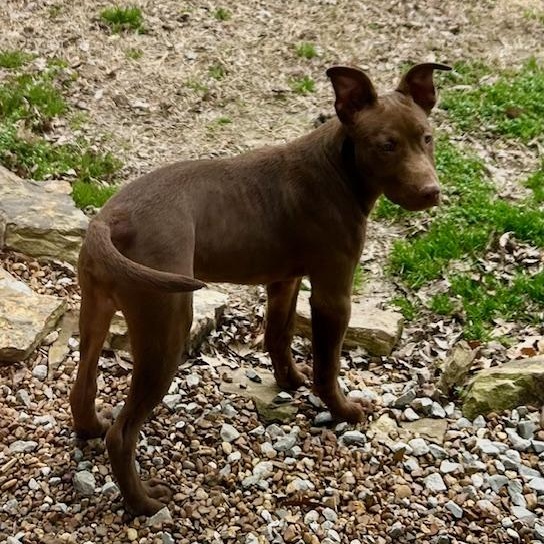 Fudge - new pics! photo 3