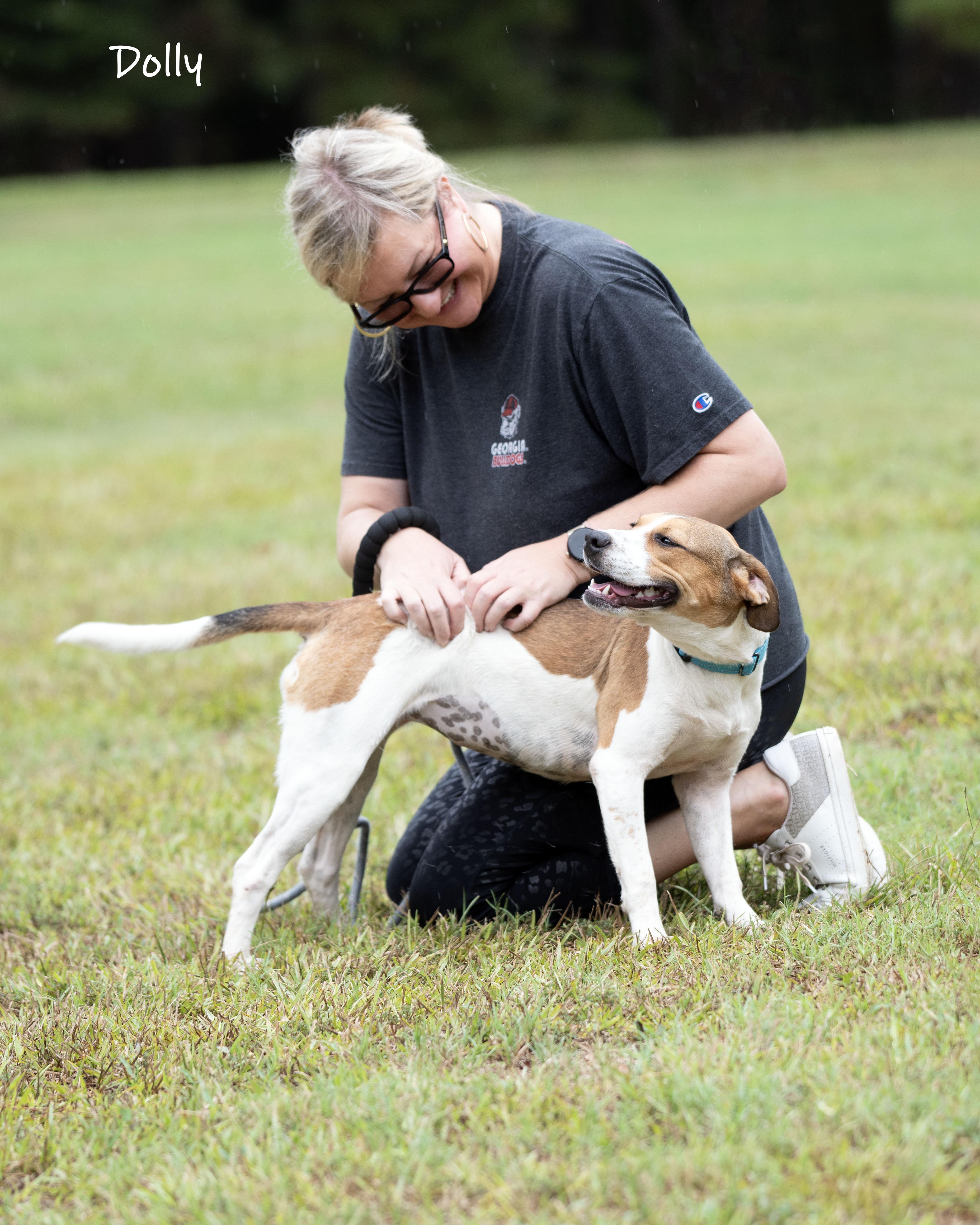 Enlarge Dolly, a Adoptable mixed breed in Bishop, GA image 6/6
