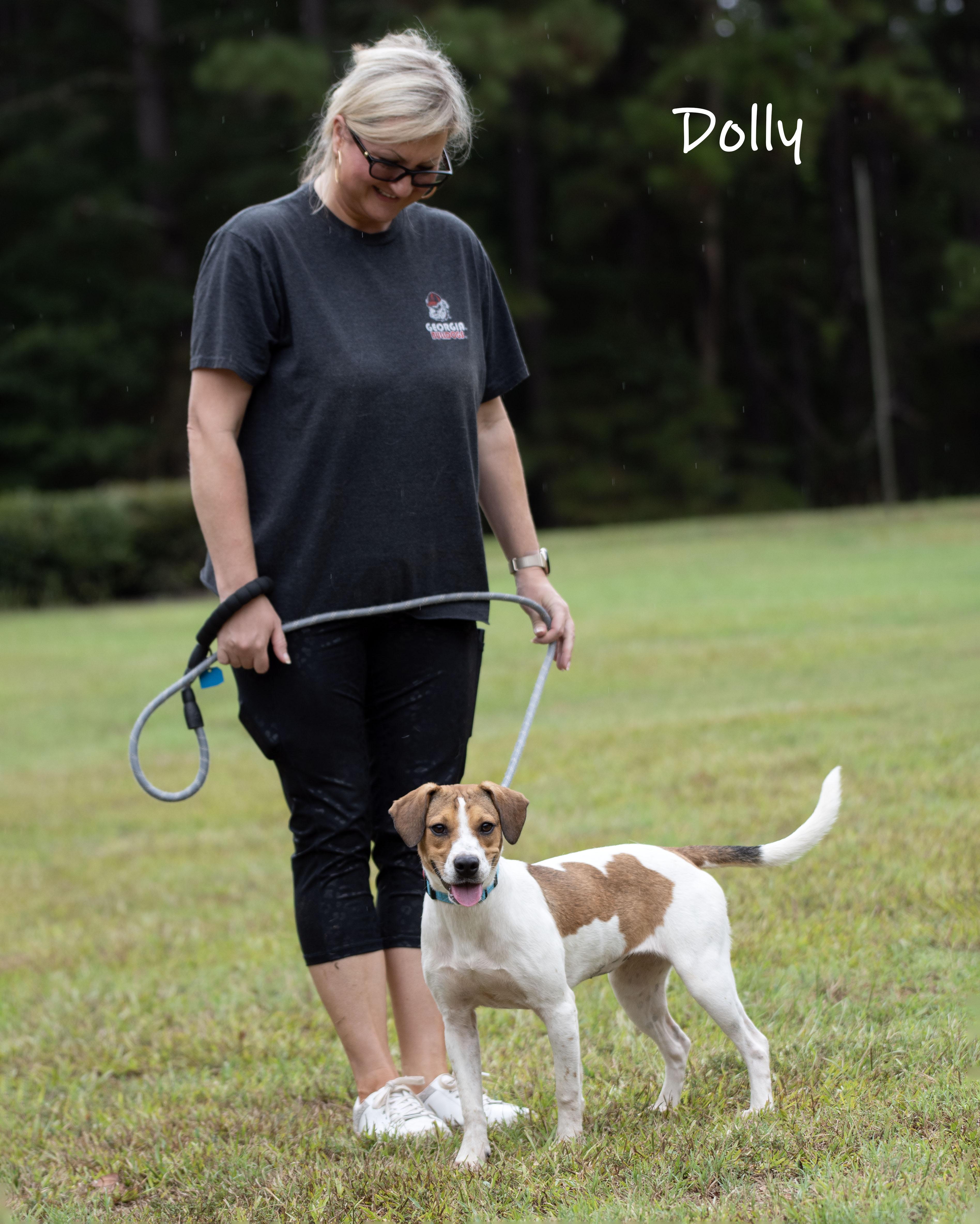 Enlarge Dolly, a Adoptable mixed breed in Bishop, GA image 3/6
