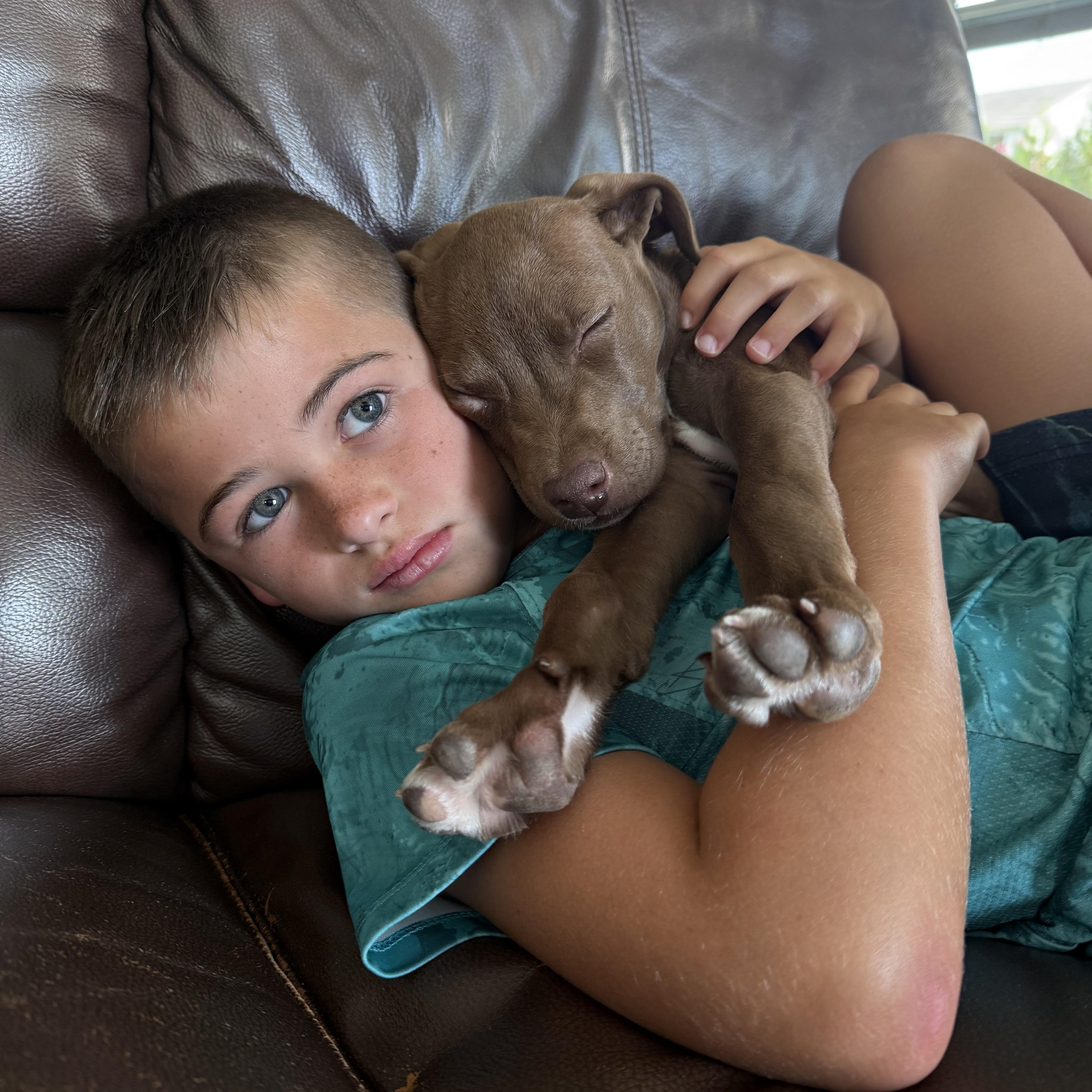 Tow Mater, a ADOPTABLE mixed breed in Rock Hill, SC image 6/6