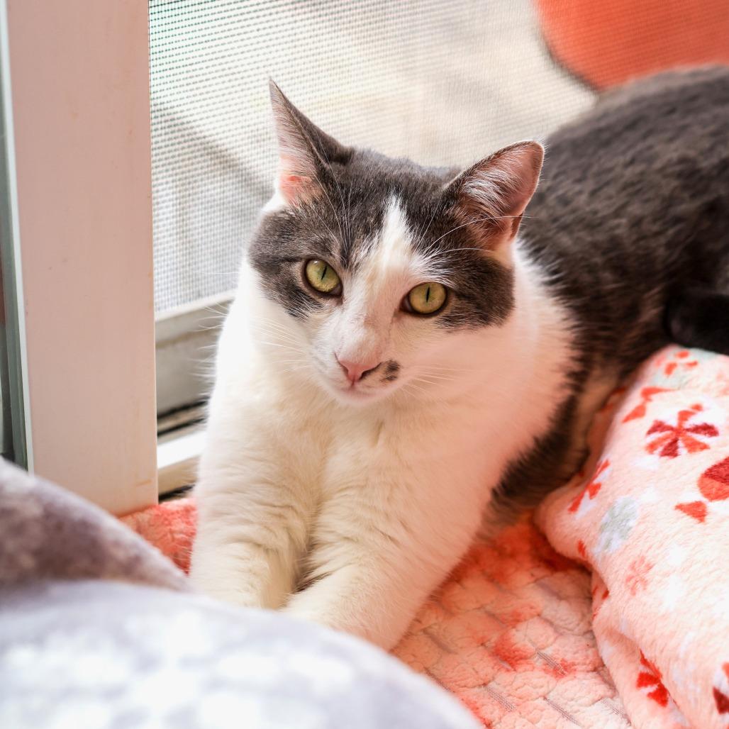 Gumdrop — thumbnail 2