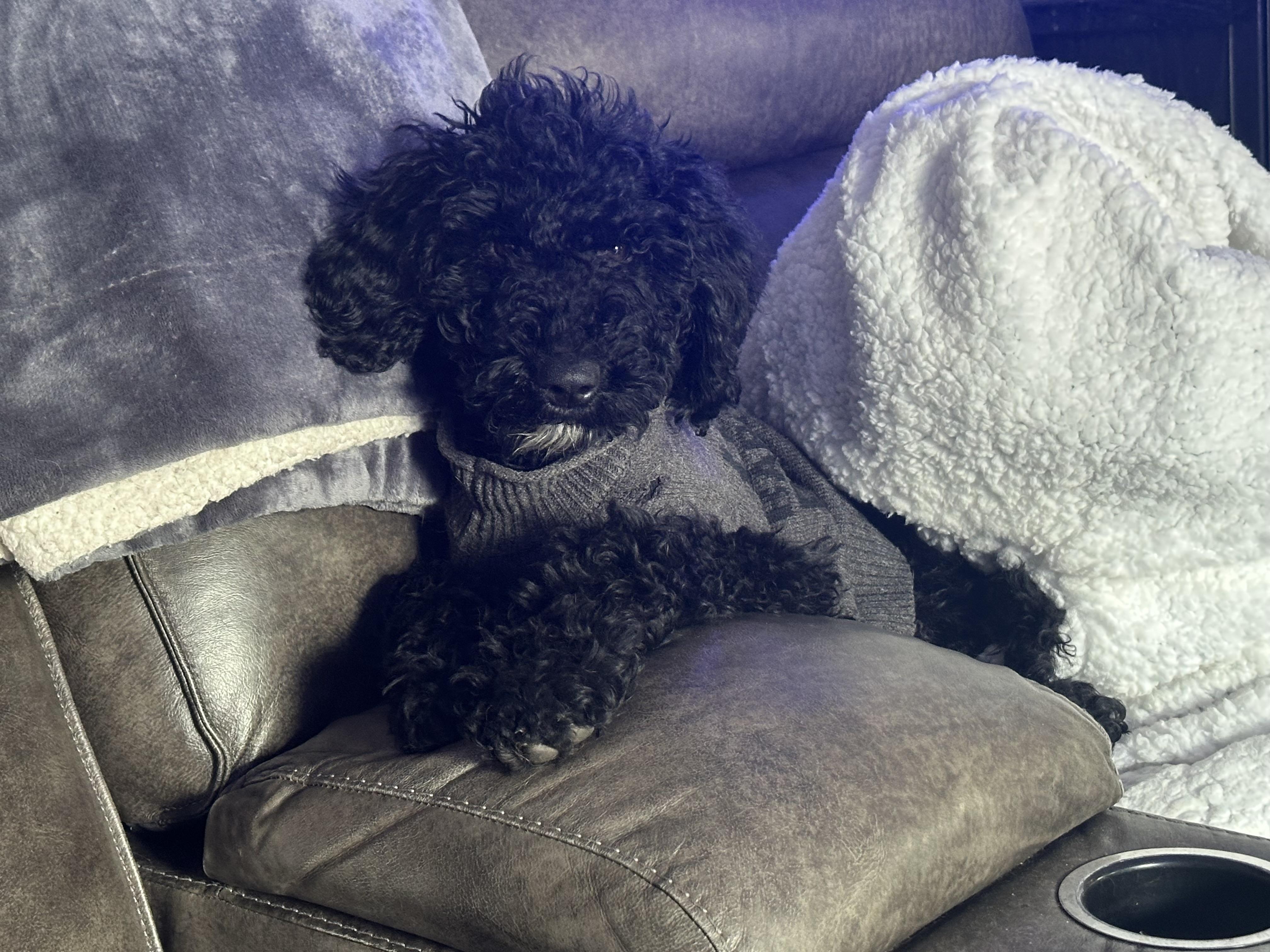 Charlie