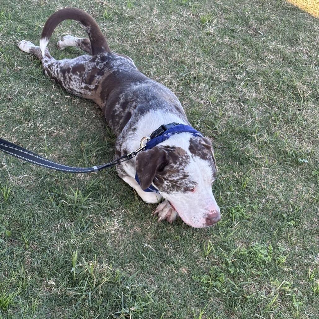 Pistachio — thumbnail 3