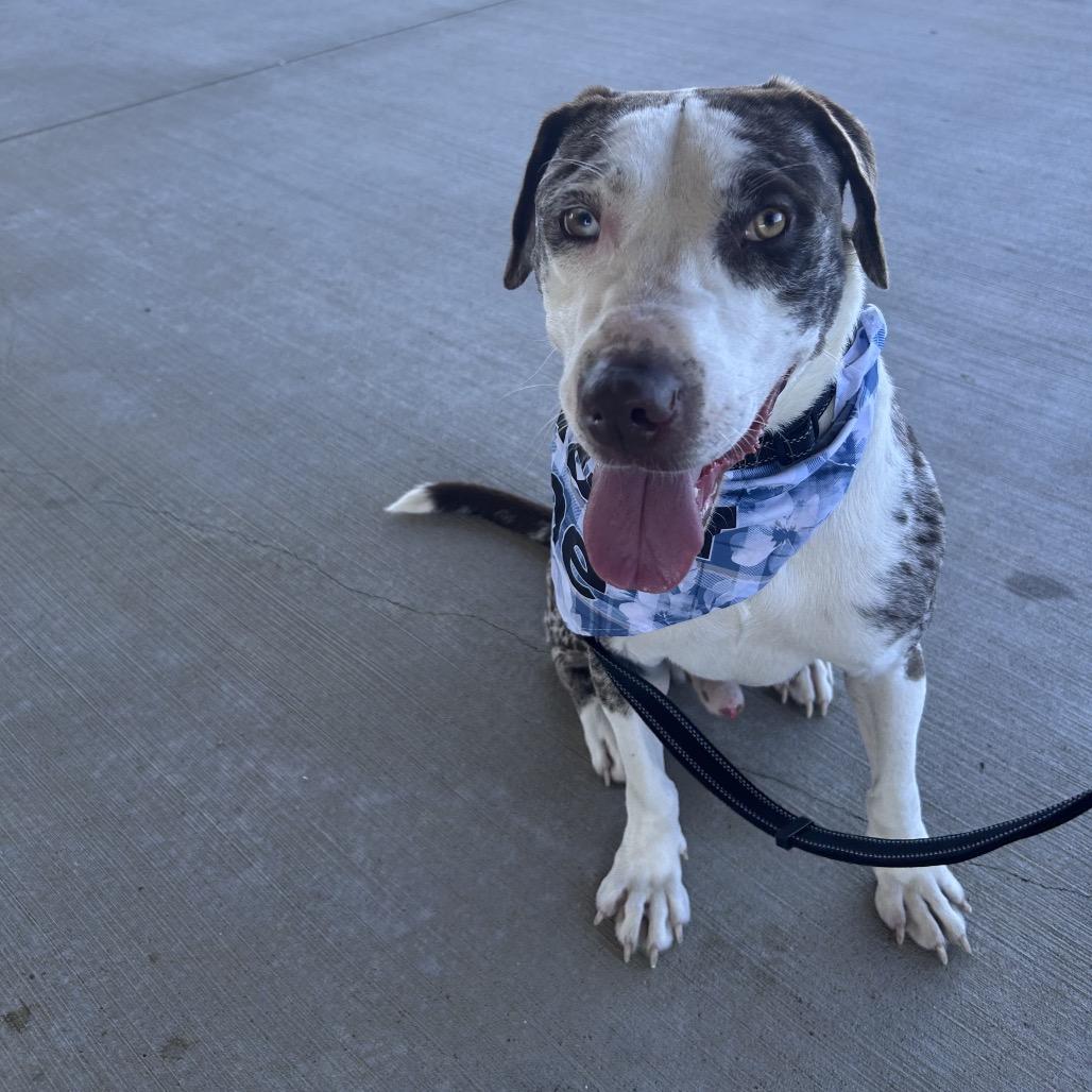 Pistachio — thumbnail 6