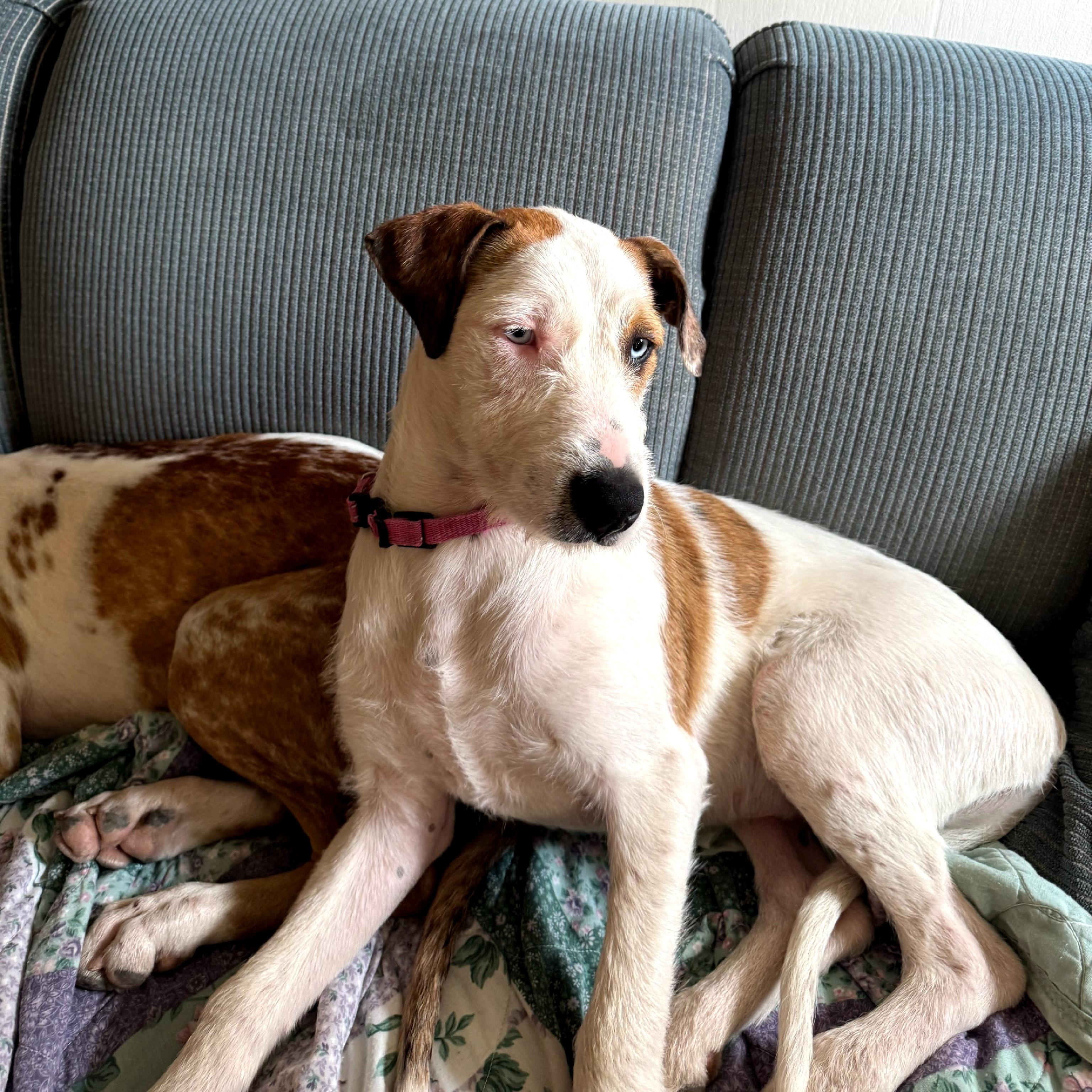 Missy Girl