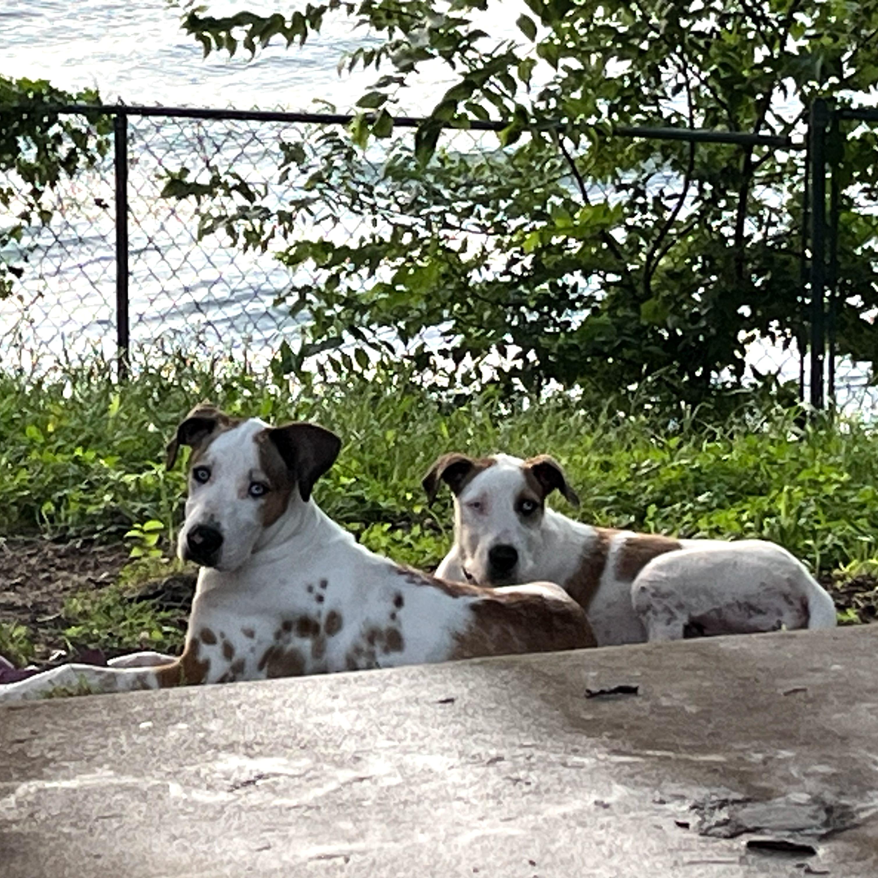 Missy Girl thumbnail 3