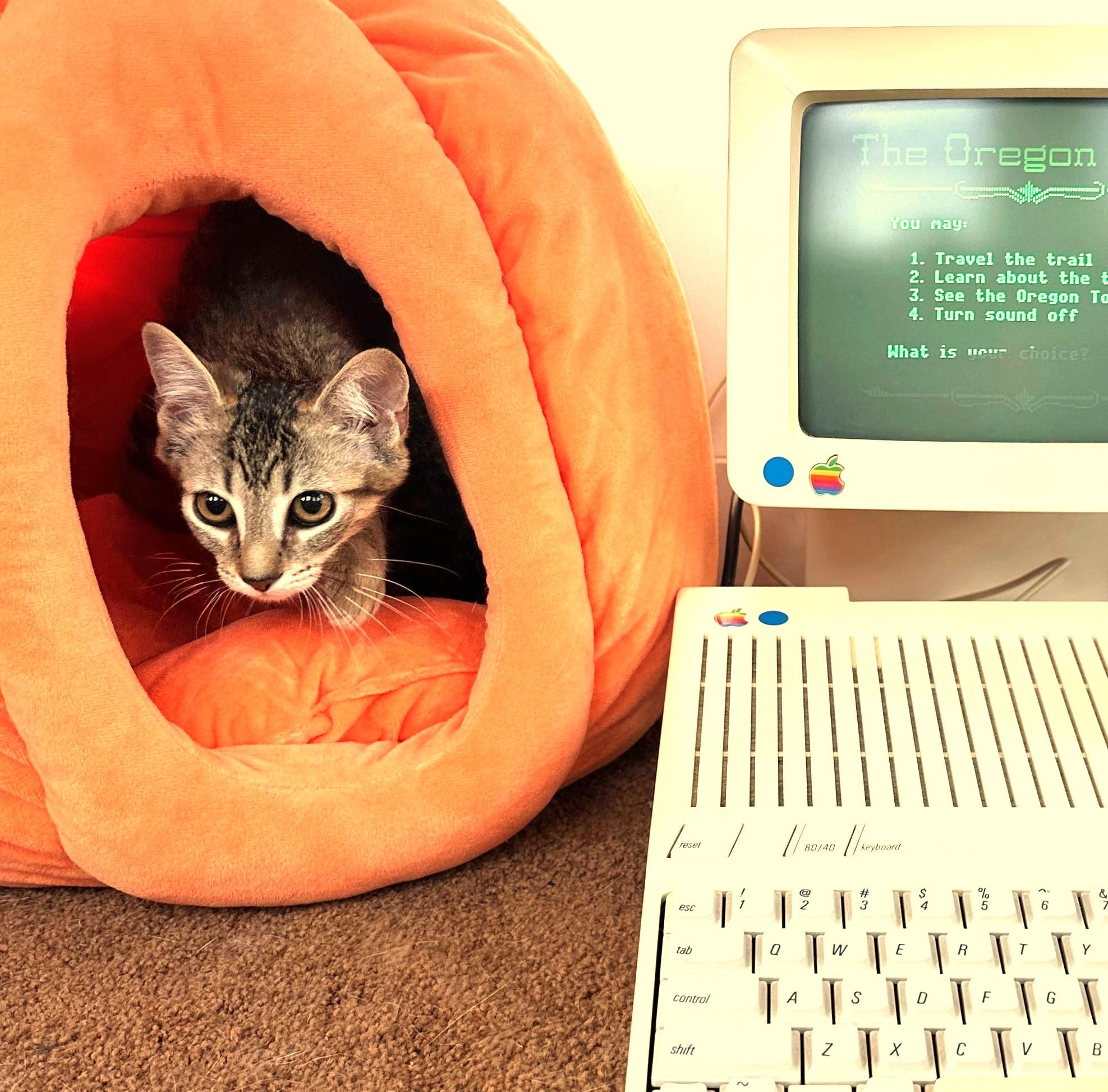 Apple II