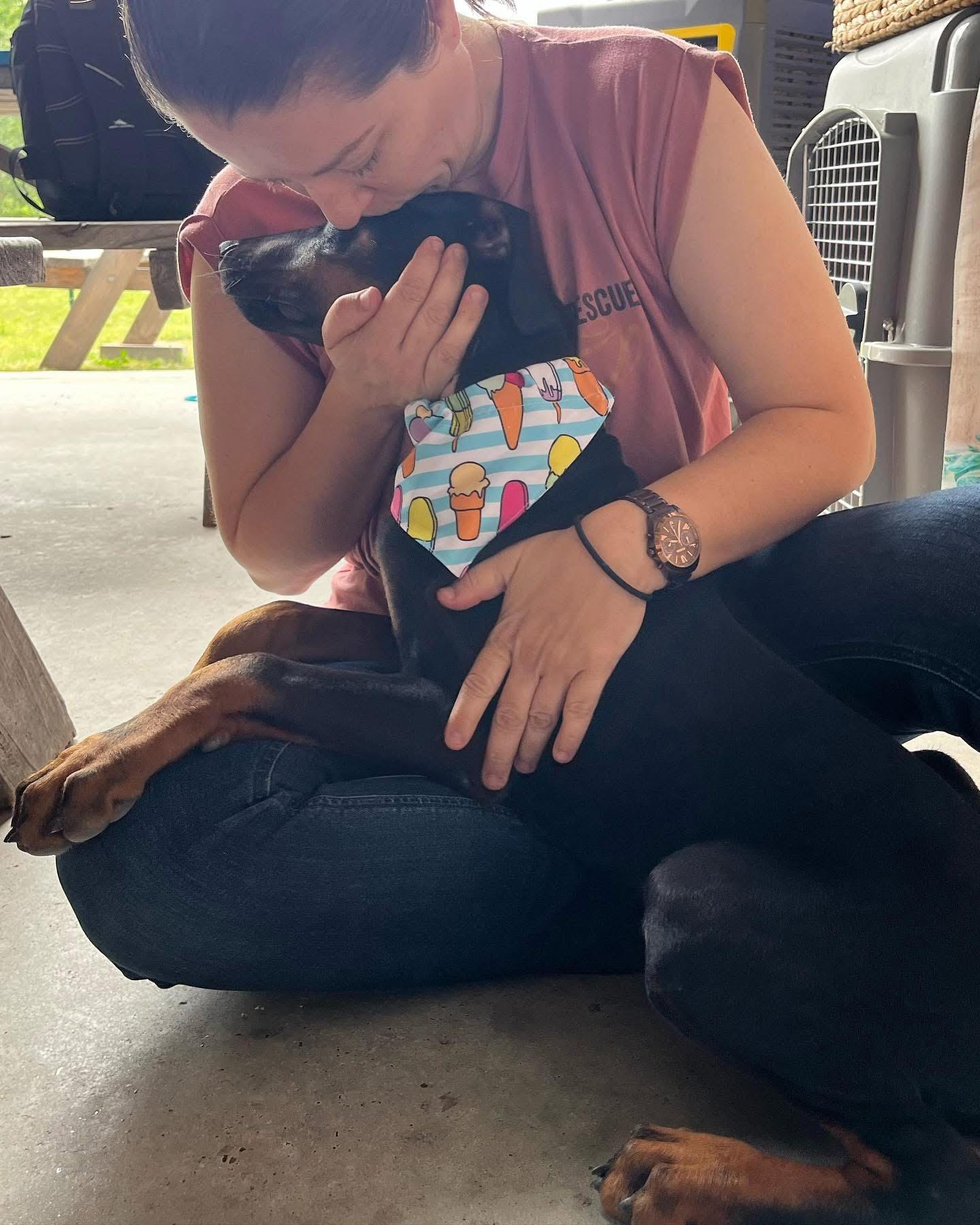 Danny Norman Narwhal, a Adopted Doberman Pinscher in Brattleboro, VT image 4/5