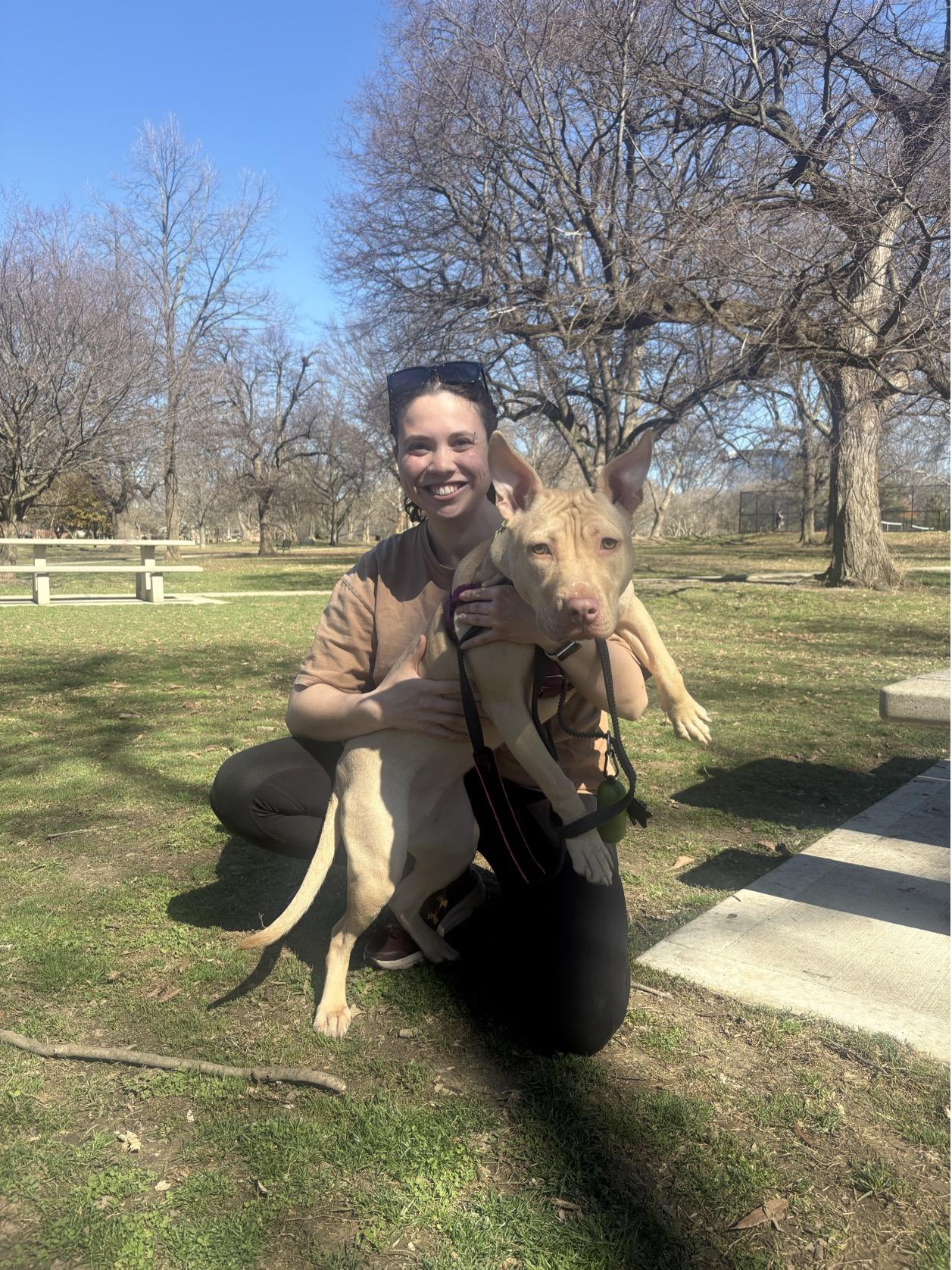 Enlarge Bing, a ADOPTABLE mixed breed in Columbus, OH image 6/6