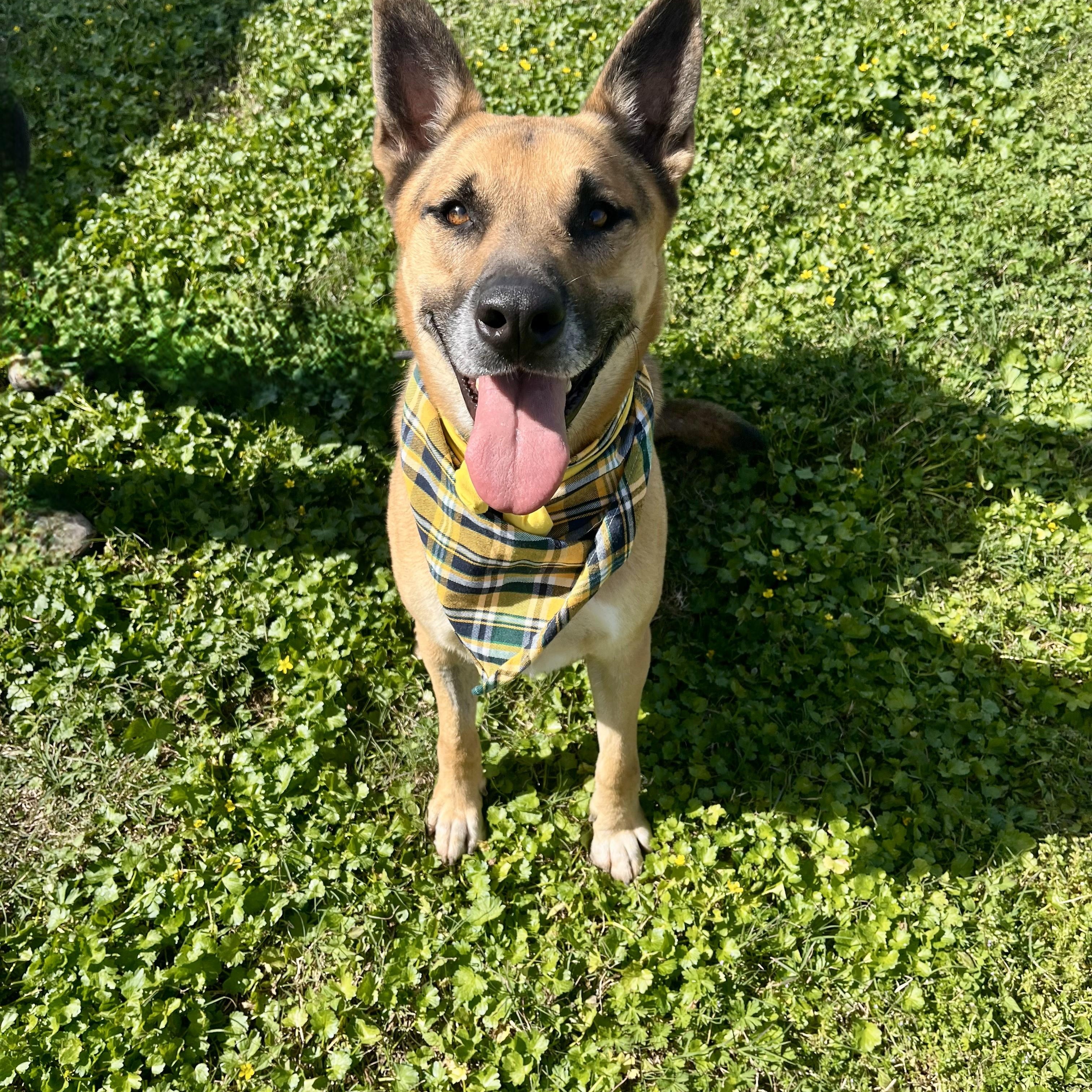 Fig Lucas — thumbnail 5