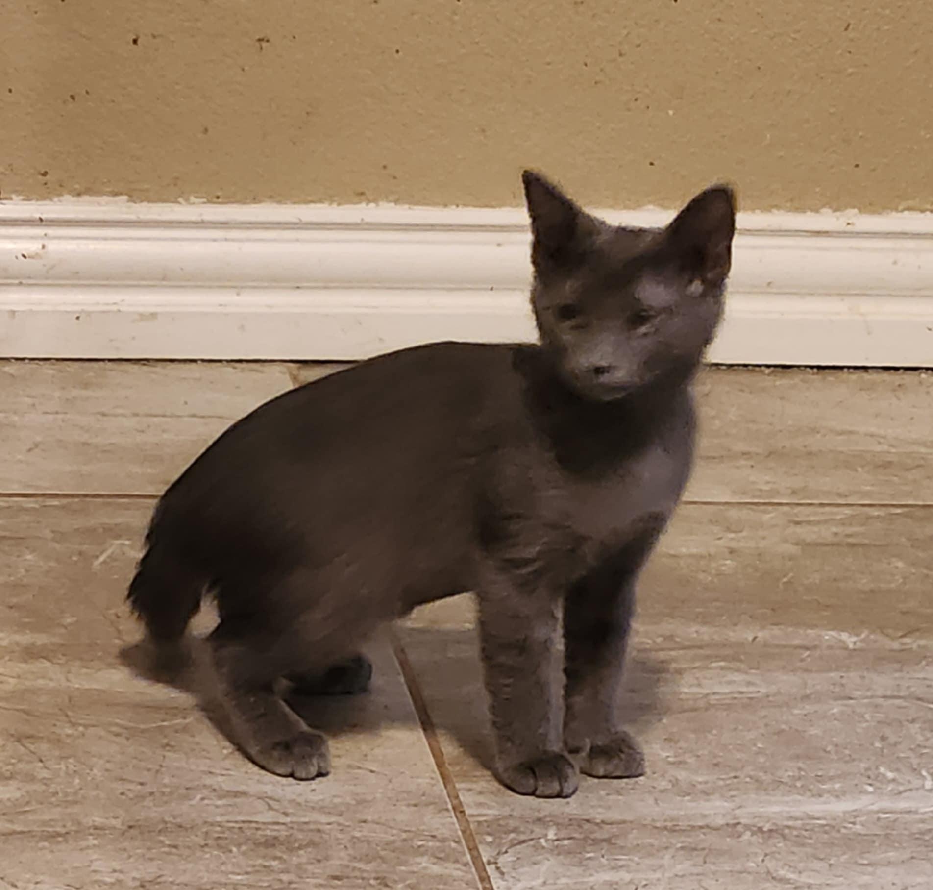 Maggie, Young Female unknown