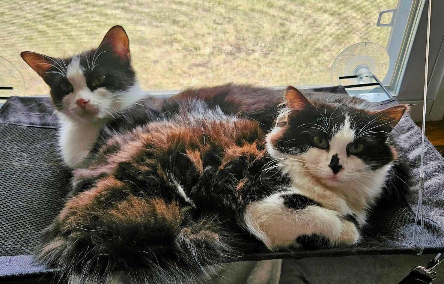 Luigi (f) & Mario (f)