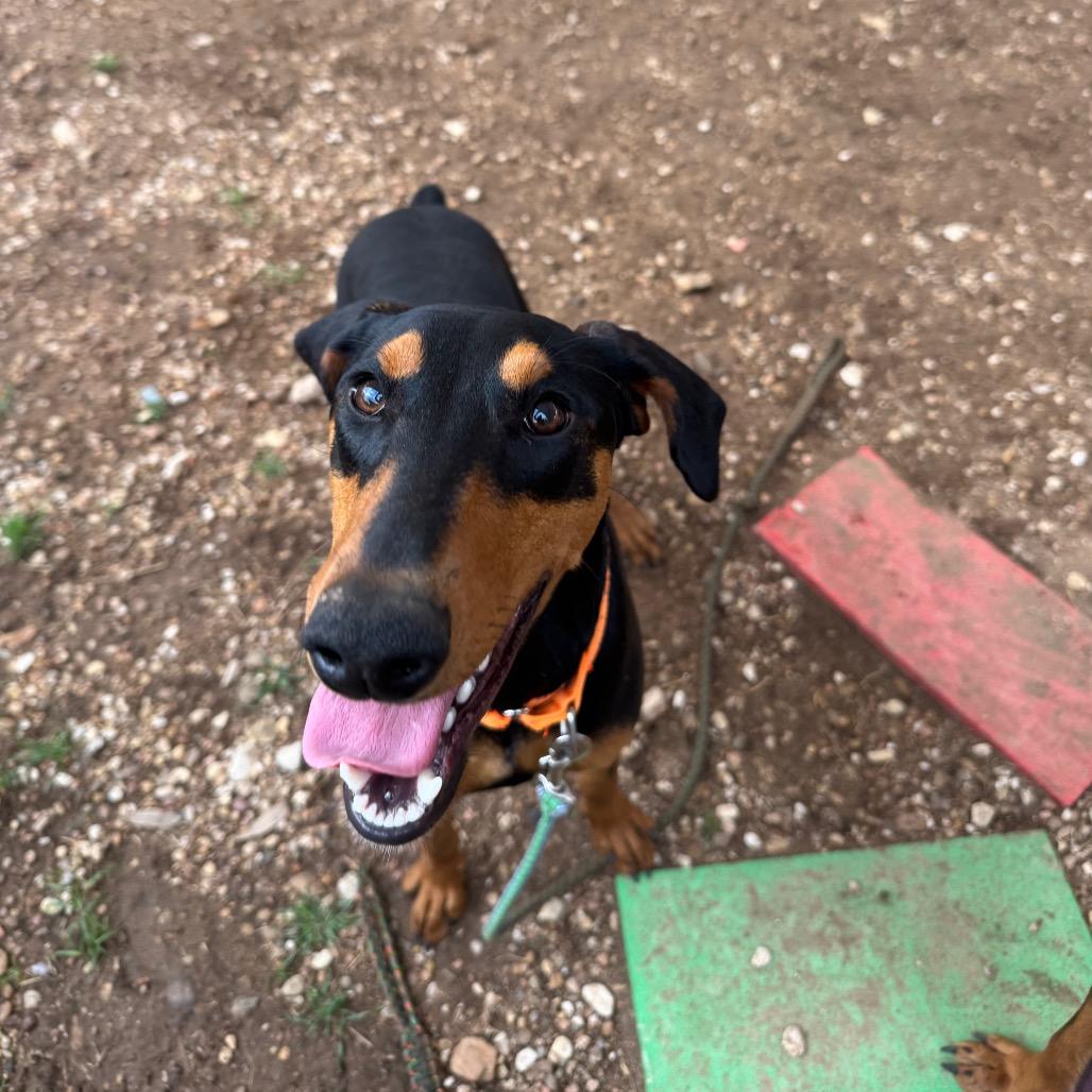 Venus — thumbnail 2