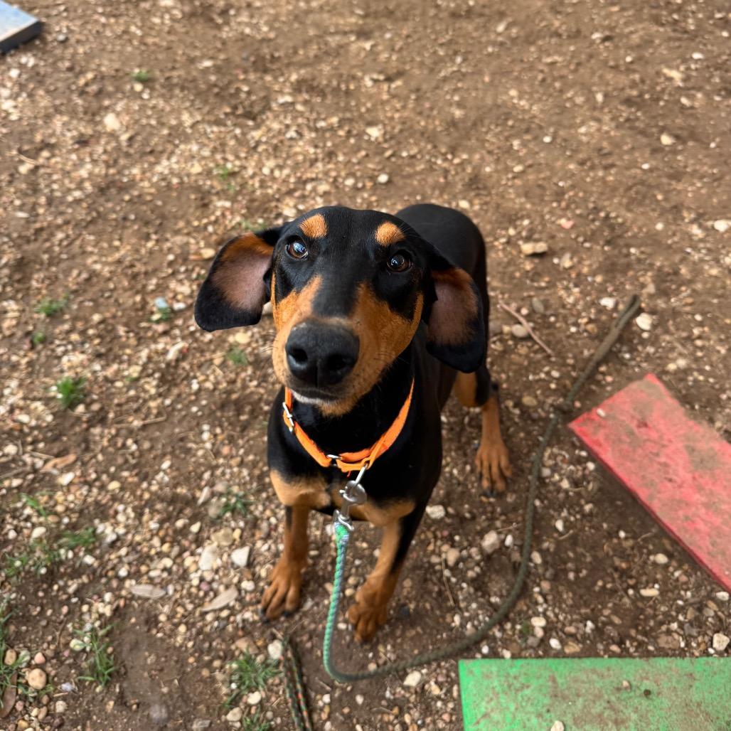 Venus — thumbnail 3