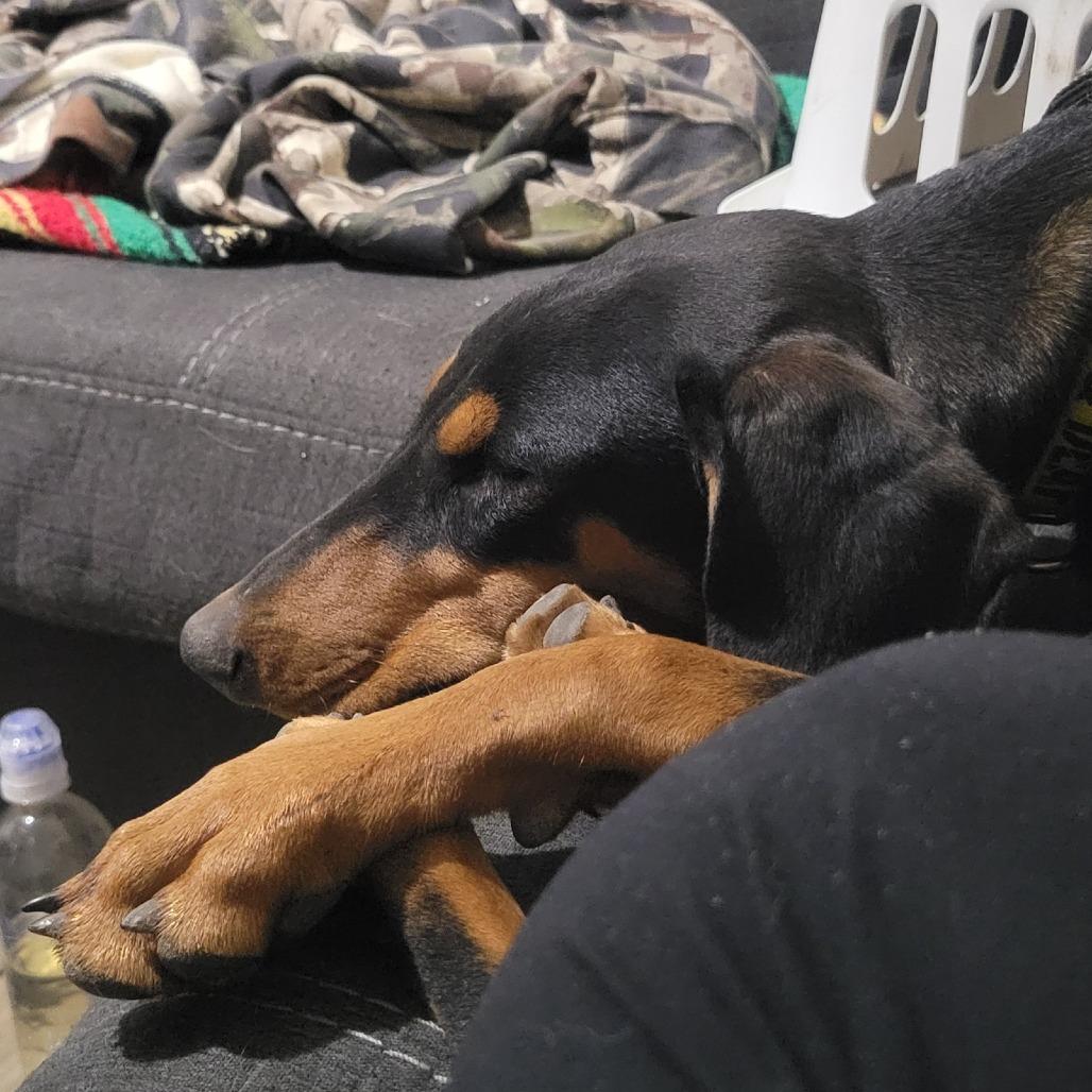 Venus — thumbnail 4