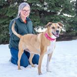 Enlarge Carle, a ADOPTABLE Mixed Breed in Hilliard, OH image 2/4