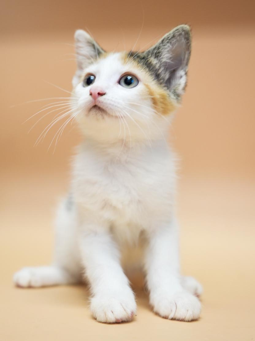 Carla is crazy cute!  TINY WEENY RAINBOW adorable!!!
