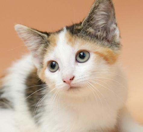 Carla is crazy cute!  TINY WEENY RAINBOW adorable!!!