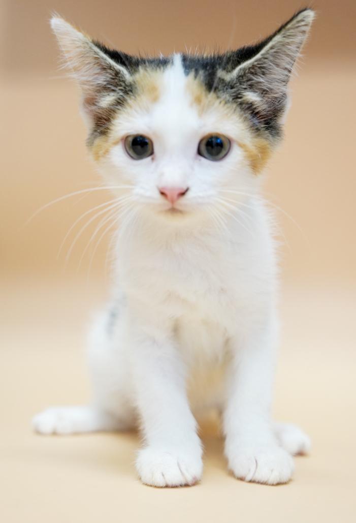Carla is crazy cute!  TINY WEENY RAINBOW adorable!!!